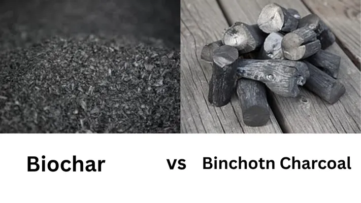 Biochar vs. Binchotan Charcoal: Comparing the appearance and forms of two types of charcoal.